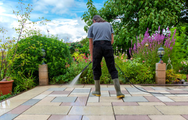 Best Sidewalk and Walkway Pressure Cleaning in Citrus Park, FL