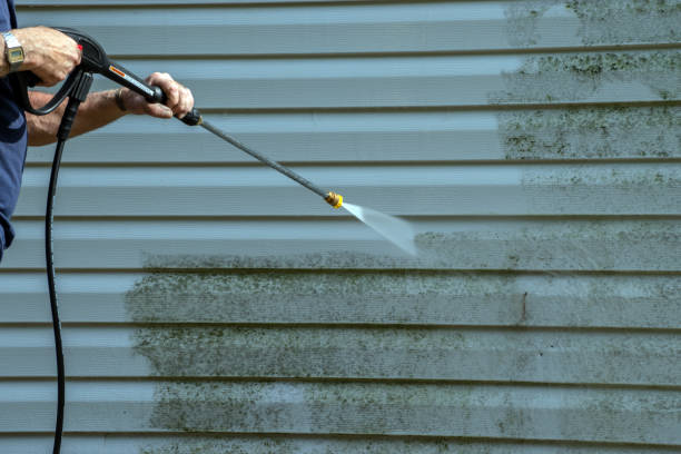 Best Residential Pressure Washing in Citrus Park, FL